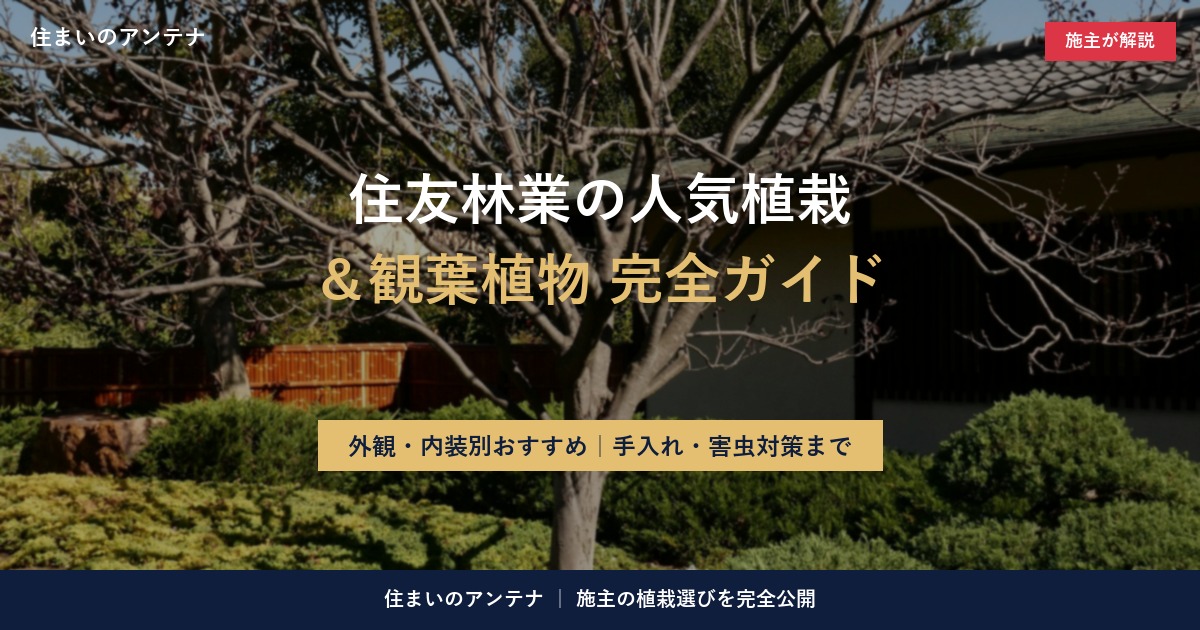 住友林業の人気植栽と観葉植物の完全ガイド